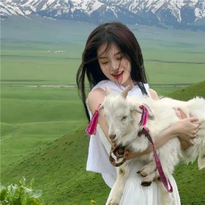 上海女子图鉴