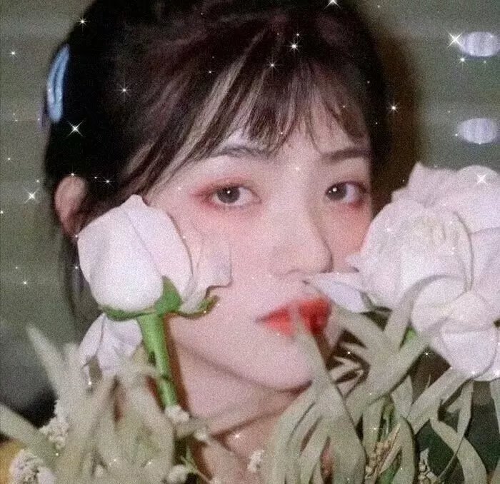 见习修女